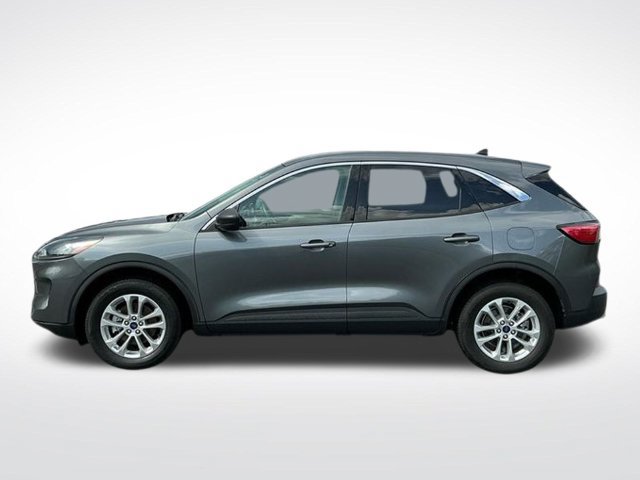 Used 2022 Ford Escape SE AWD/4WD image 4