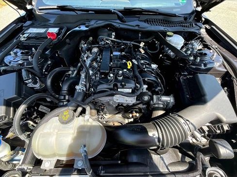 Used 2023 Ford Mustang Premium image 7