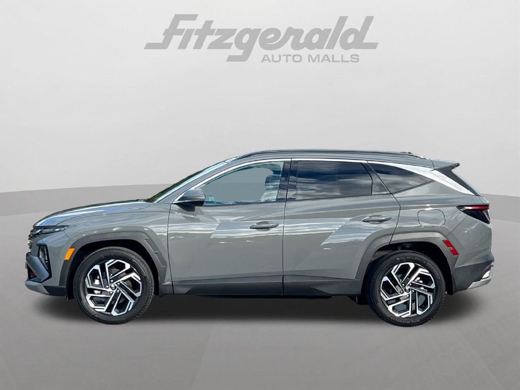 Used 2025 Hyundai Tucson Limited AWD/4WD image 5