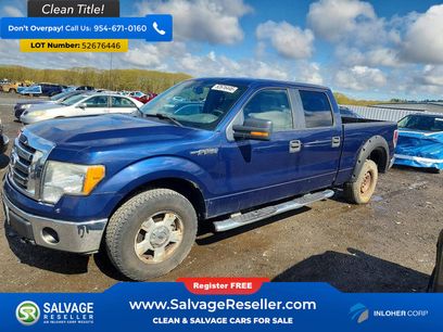 Used 2010 Ford F150 4x4 SuperCrew