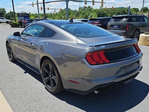 Used 2023 Ford Mustang Premium w/ Mustang Nite Pony Package RWD image 4