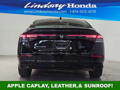 Used 2025 Honda Accord Sport image 6