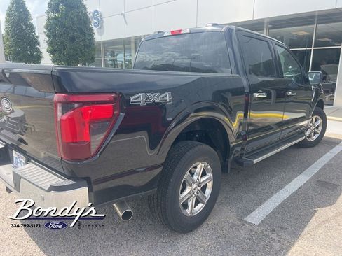 Used 2025 Ford F150 XLT w/ Equipment Group 301A Standard image 5