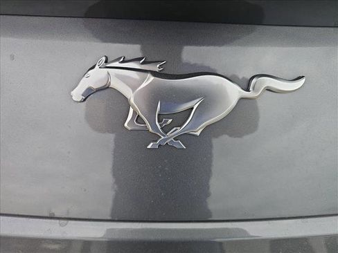 New 2026 Ford Mustang EcoBoost image 9