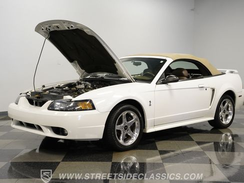 Used 2001 Ford Mustang Cobra RWD image 32