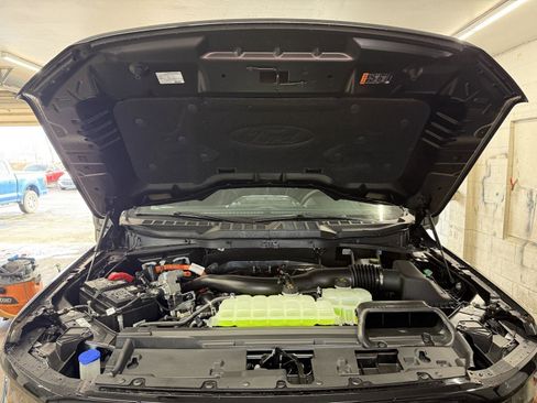 New 2025 Ford F150 XLT w/ Equipment Group 302A MID image 30