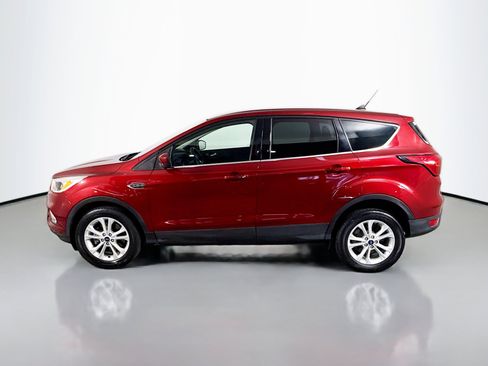 Used 2019 Ford Escape SE image 6