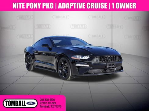 Certified 2023 Ford Mustang Premium w/ Equipment Group 201A RWD image 1