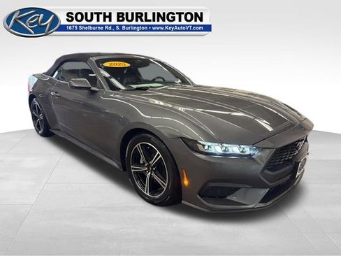 Used 2025 Ford Mustang Premium RWD image 8