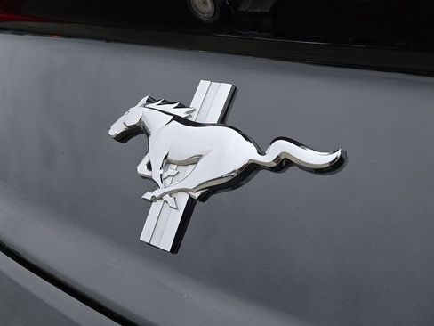 Used 2015 Ford Mustang Coupe w/ Equipment Group 051A image 22