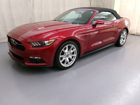 Used 2015 Ford Mustang Premium w/ Equipment Group 201A RWD image 13