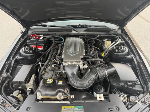 Used 2009 Ford Mustang GT Premium image 12