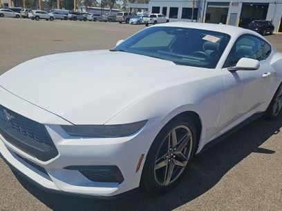 Used 2025 Ford Mustang Premium