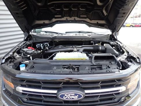 Used 2025 Ford F150 XLT w/ Equipment Group 301A Standard AWD/4WD image 16