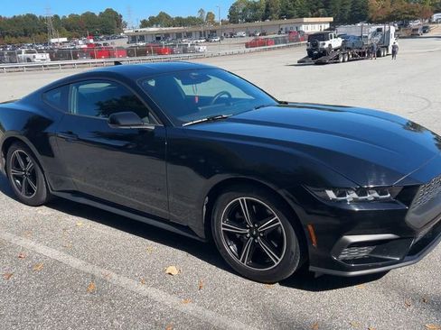 Used 2024 Ford Mustang Coupe image 15