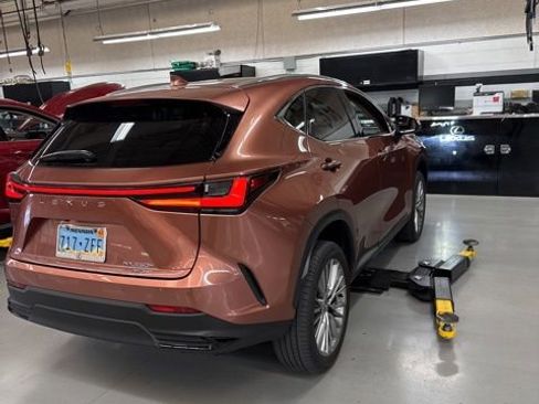 Used 2025 Lexus NX 350h AWD w/ Cold Area Package image 6