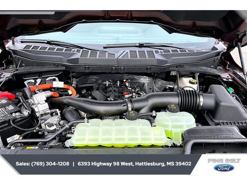New 2025 Ford F150 XLT w/ Equipment Group 303A High AWD/4WD image 8