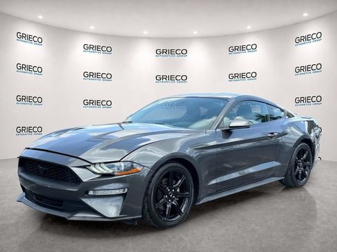 Used 2019 Ford Mustang Premium w/ Equipment Group 201A RWD image 3