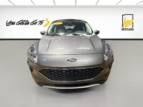 Used 2022 Ford Escape SE w/ Convenience Package image 2