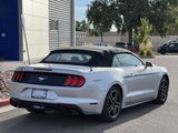 Used 2018 Ford Mustang Premium image 5