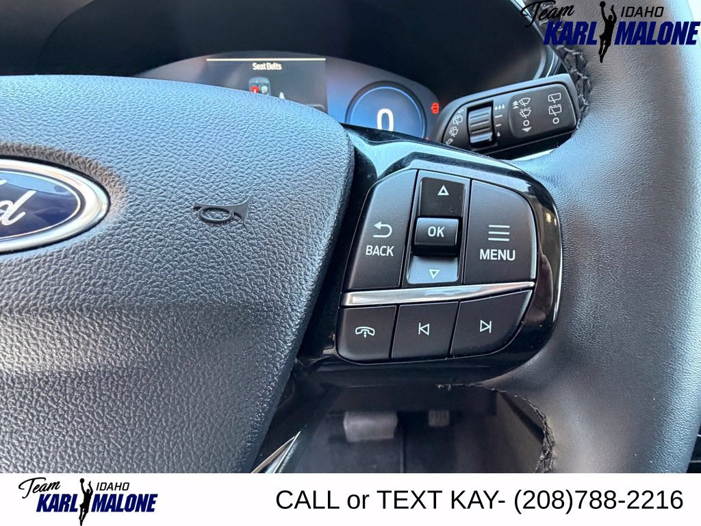 Used 2025 Ford Escape Platinum AWD/4WD image 25