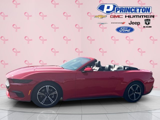 Used 2025 Ford Mustang Premium RWD image 5