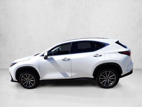 Used 2024 Lexus NX 350h AWD w/ Cold Area Package image 2