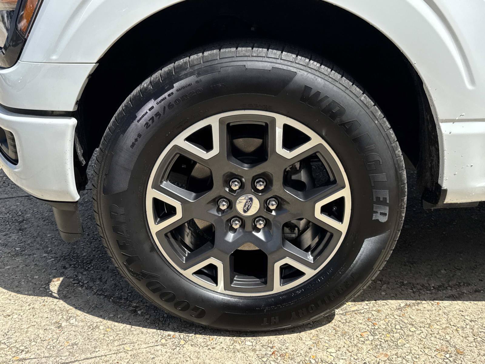 Used 2025 Ford F150 STX w/ Equipment Group 200A RWD image 4
