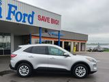 Used 2020 Ford Escape SE image 5