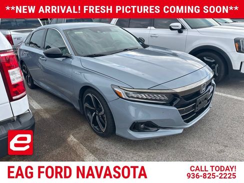 Used 2022 Honda Accord Sport image 1