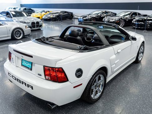 Used 2004 Ford Mustang Cobra RWD image 5