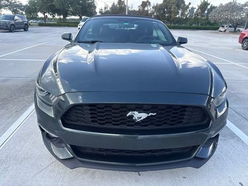 Used 2015 Ford Mustang Premium RWD image 1