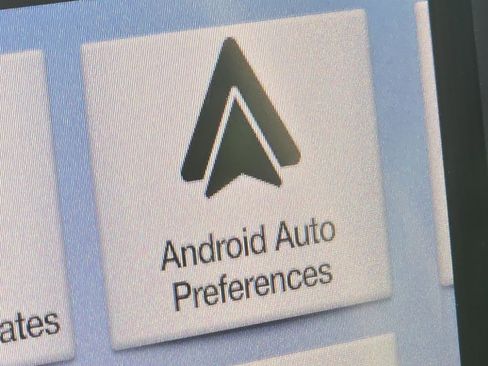 Used 2019 Ford F150 XLT w/ Equipment Group 302A Luxury image 7