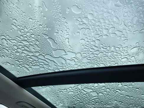 Used 2022 Kia Sorento X-Line EX image 16