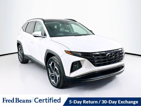 Certified 2024 Hyundai Tucson Limited image 1
