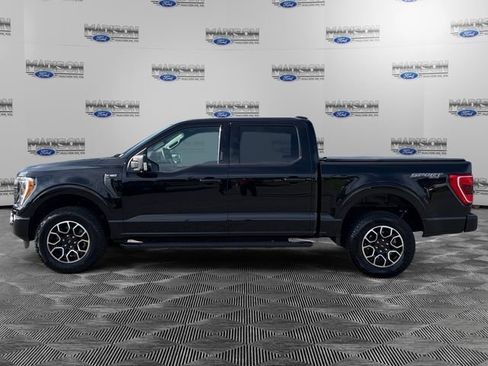 Used 2023 Ford F150 XLT w/ Equipment Group 302A High AWD/4WD image 2