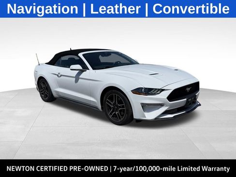 Used 2023 Ford Mustang Premium w/ Equipment Group 201A RWD image 1