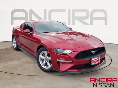 Used 2019 Ford Mustang Coupe RWD image 1