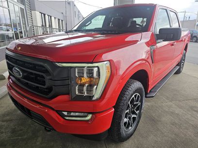 Used 2023 Ford F150 XLT w/ Equipment Group 302A High