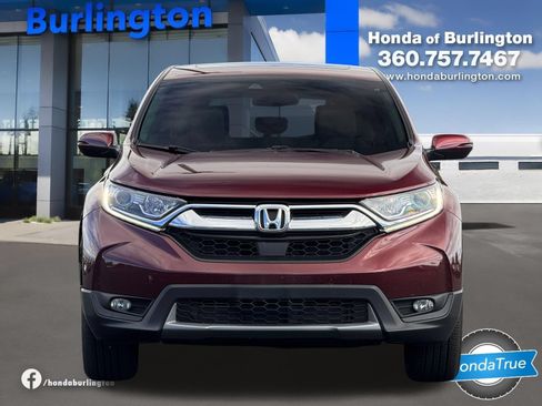 Certified 2019 Honda CR-V EX-L image 7