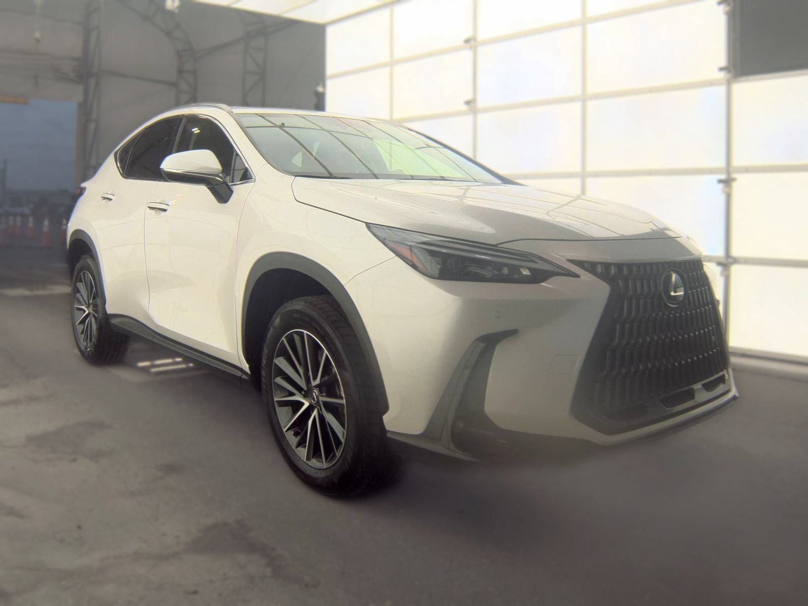 Used 2024 Lexus NX 250 FWD image 4