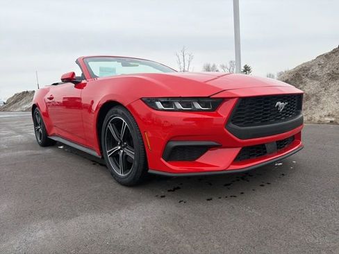 Used 2024 Ford Mustang Premium image 1