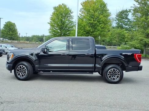 Used 2023 Ford F150 XLT w/ Equipment Group 302A High AWD/4WD image 2