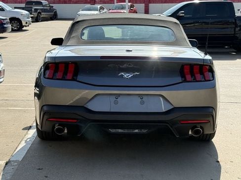 Used 2026 Ford Mustang Premium RWD image 5