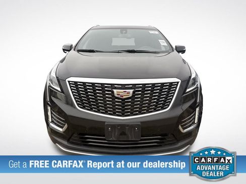 Used 2023 Cadillac XT5 Premium Luxury image 3