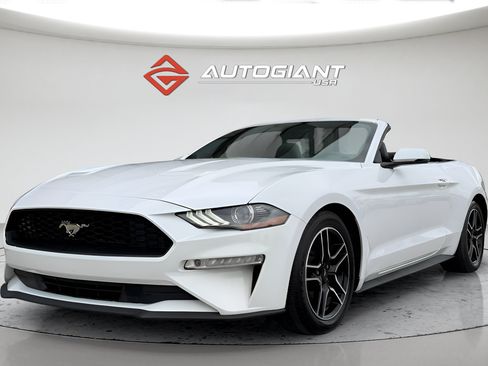 Used 2019 Ford Mustang Premium RWD image 5