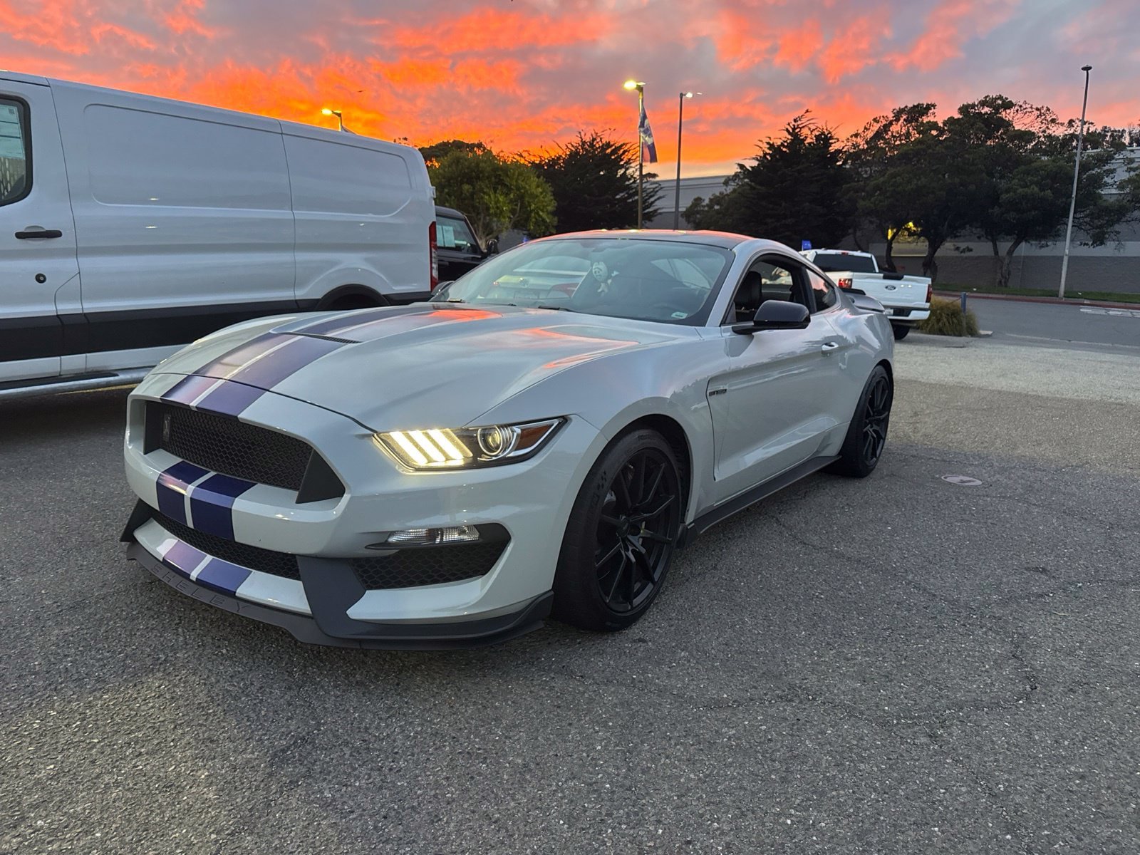 Used 2016 Ford Mustang Shelby GT350 w/ Technology Package RWD image 2
