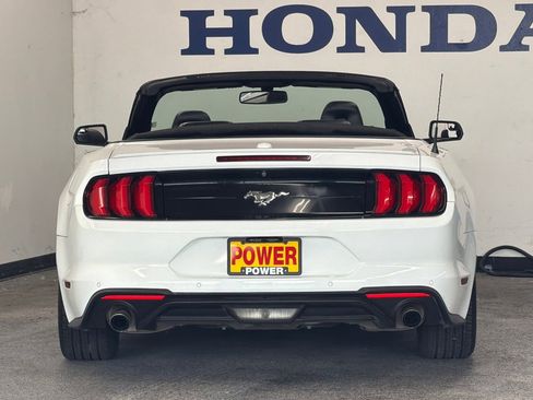 Used 2019 Ford Mustang Premium RWD image 4