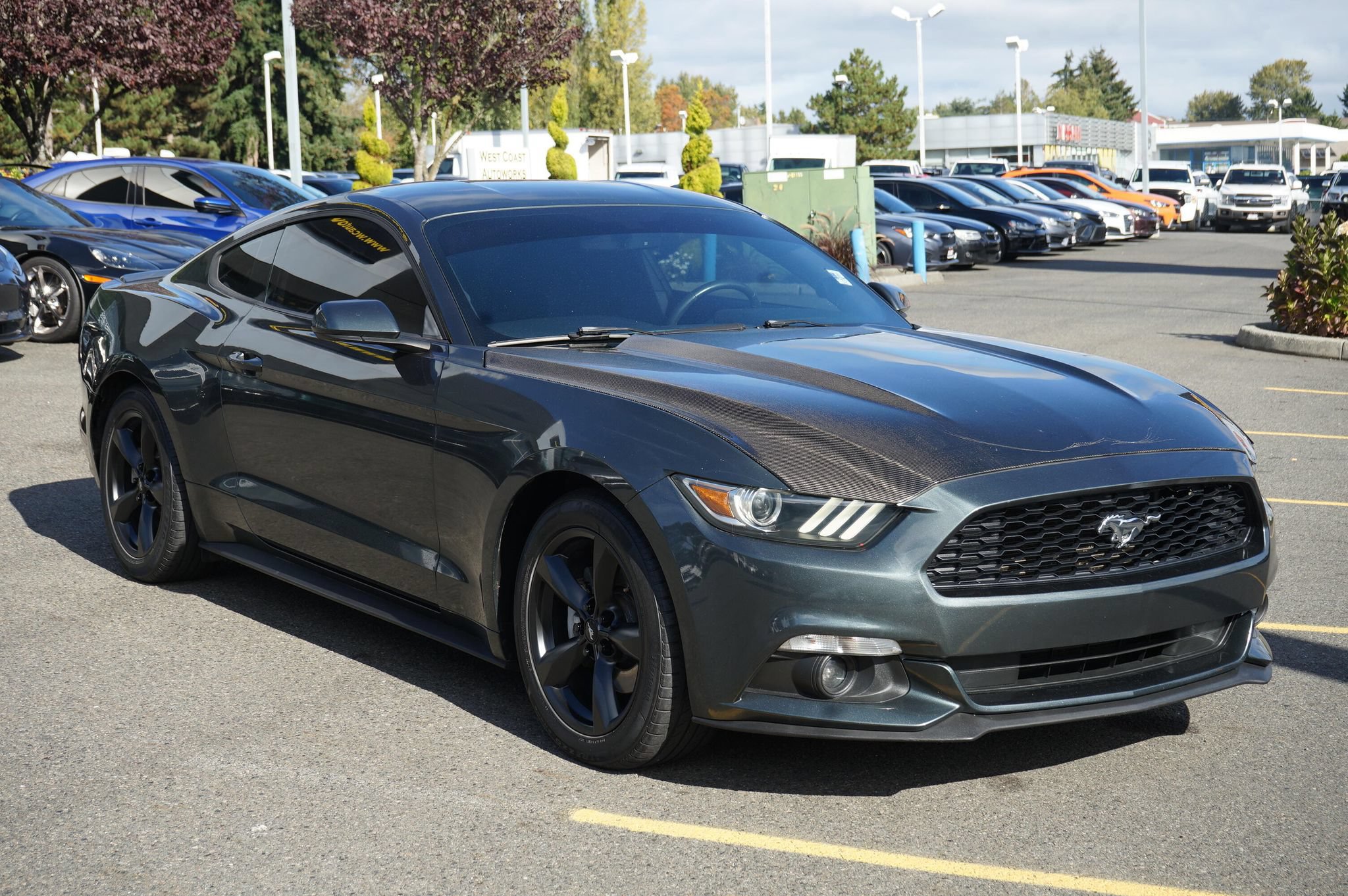Used 2015 Ford Mustang Coupe w/ Equipment Group 051A RWD image 8