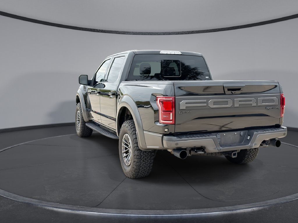 Used 2020 Ford F150 Raptor w/ Equipment Group 802A Luxury AWD/4WD image 10